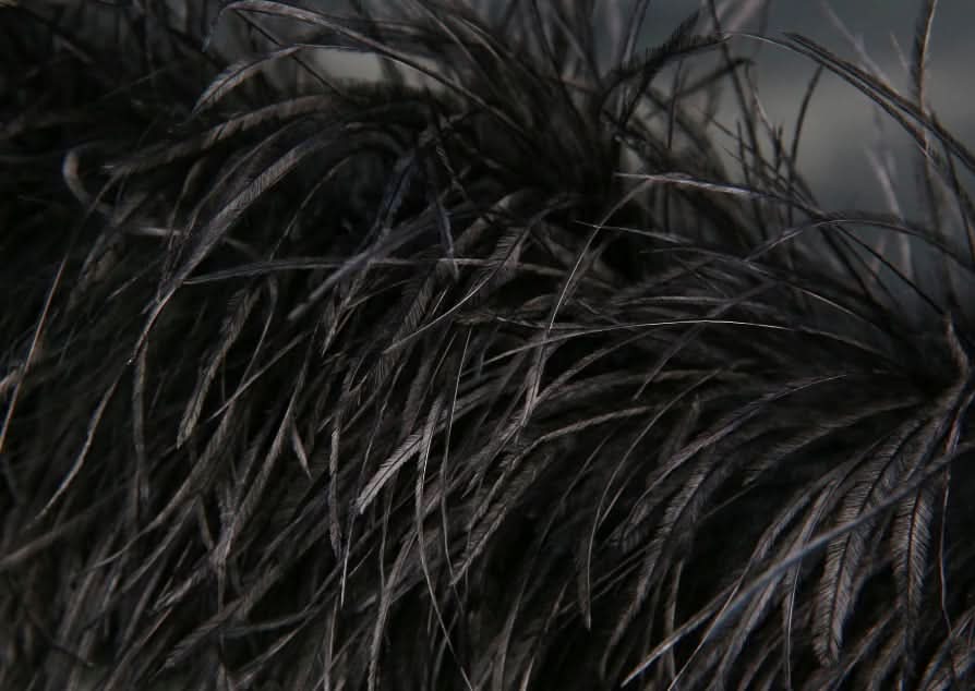 【レア】本革&リアルフェザーモードスカートセットアップ - select store mirror me【レア】本革&リアルフェザーモードスカートセットアップ195729000mirror meselect store mirror me195729000S