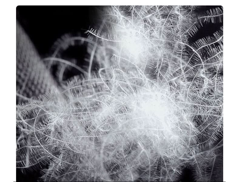 【高品質】フォックス&ミンクファーホワイトグースダウンジャケット - select store mirror me【高品質】フォックス&ミンクファーホワイトグースダウンジャケットselect store mirror me                      select store mirror me247616693S