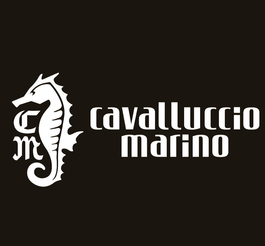 cavalluccio marino - select store mirror me